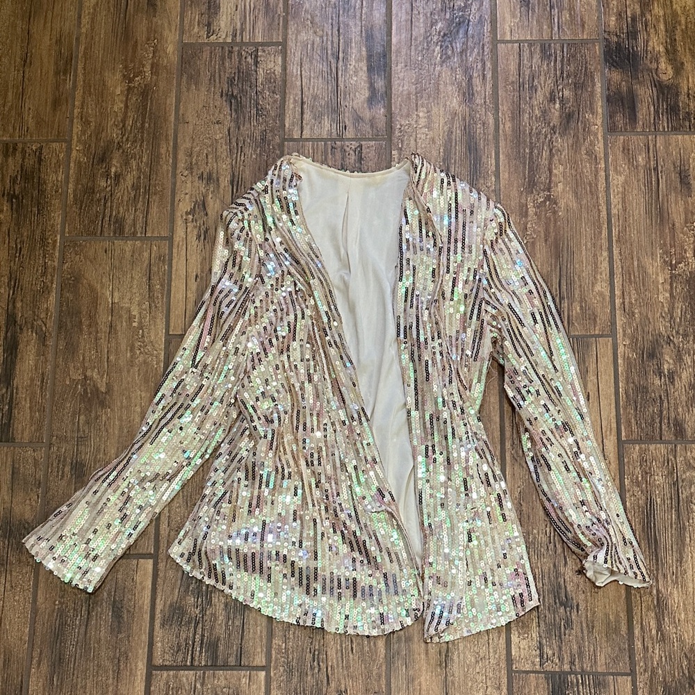 Sequin Blazer with Iridescent Stripes